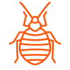 Bed Bugs Control