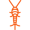 Silverfish Control