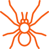 Spider Control