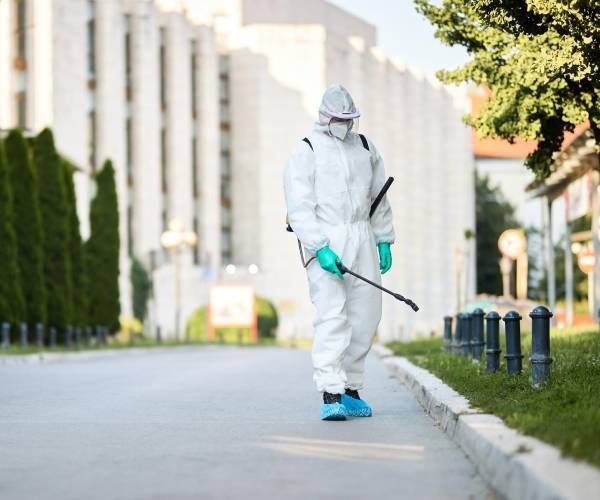 Pest Control in Forest Lake