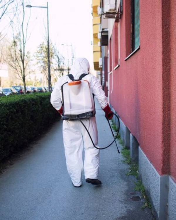 Pest Removal in Forest Lake