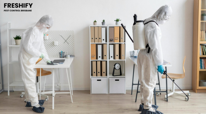 Pest Control Indooroopilly