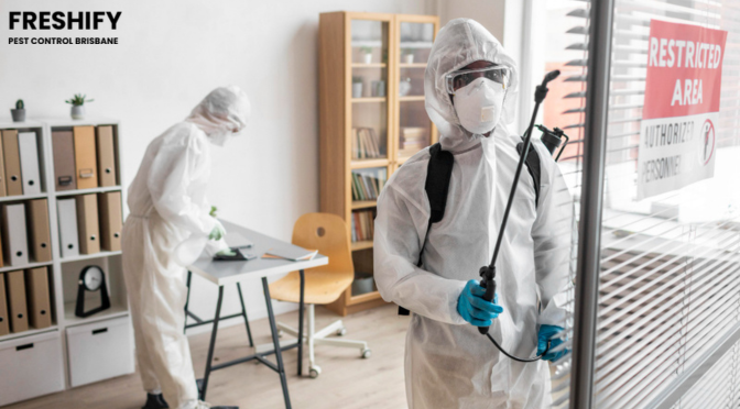 Why Do Offices Need Routine Pest Control Treatment?